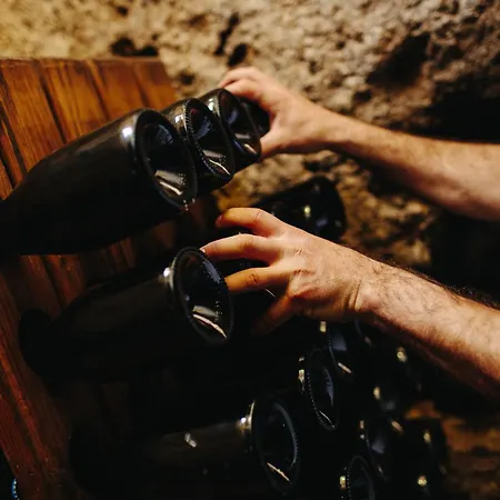 帕格德塔尔斯酒店 乡村民宿