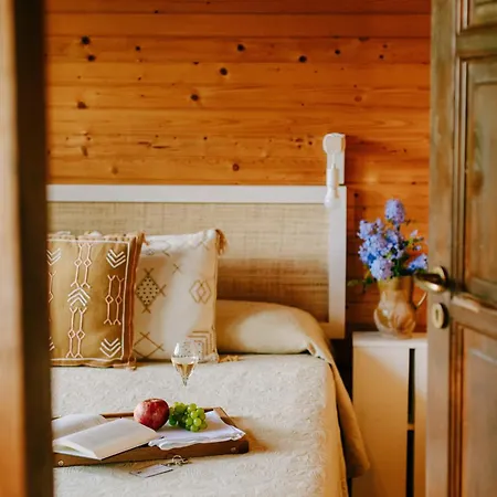 帕格德塔尔斯酒店 *