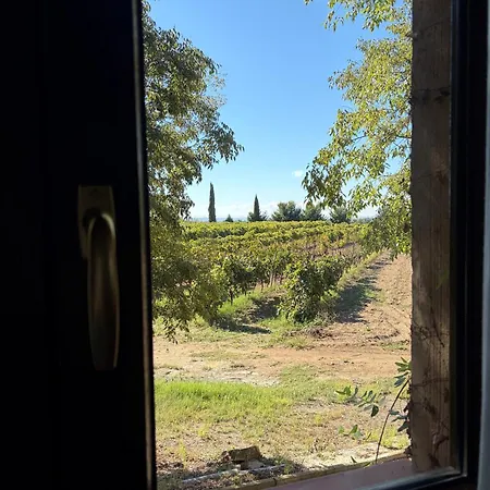 Pago De Tharsys Country house