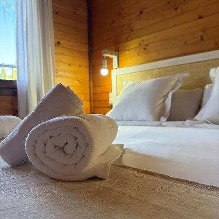 帕格德塔尔斯酒店