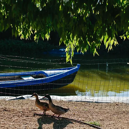 帕格德塔尔斯酒店 雷克纳